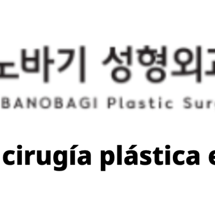 BANOBAGI Plastic Surgery – Info de cirugía plástica en Corea
